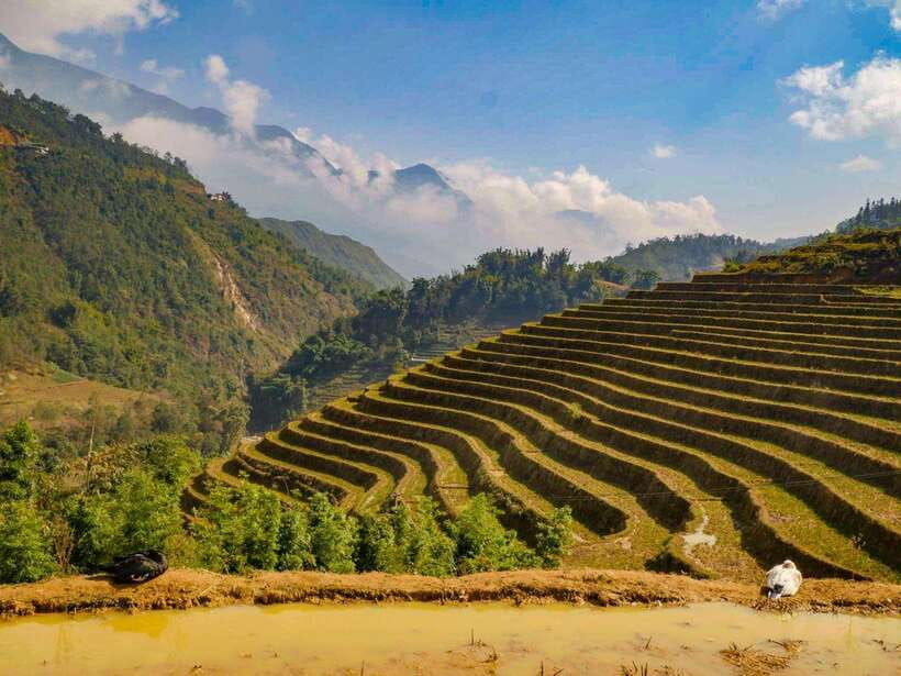 Trekking Sapa 1 Day With Local Guide, Terraced Rice Fields - Why this Sapa trek is worth considering
