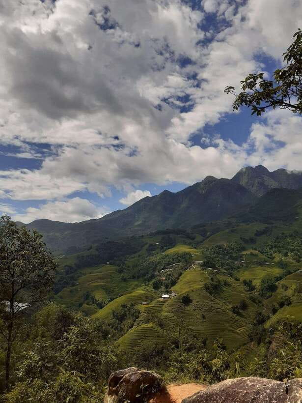 Trekking Sapa 1 Day With Local Guide, Terraced Rice Fields - Crossing Muong Hoa River and entering the bamboo forest