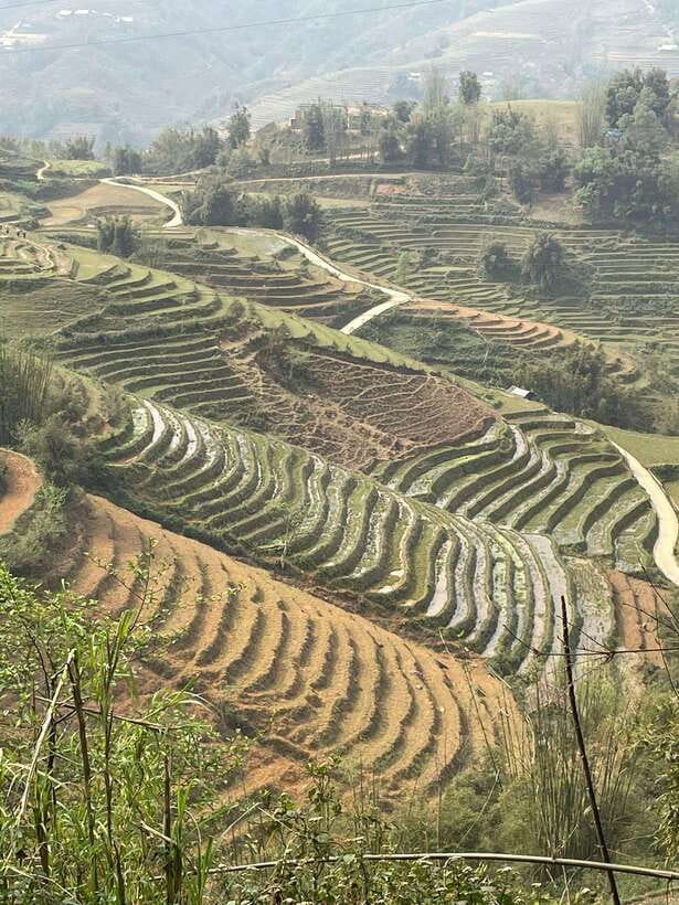 Trekking Sapa 1 Day With Local Guide, Terraced Rice Fields - Ta Van and the Giay village finish