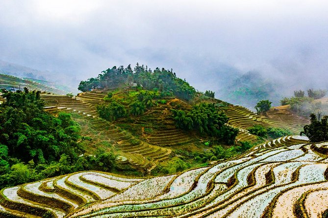 Trekking Through Rice Terraced Fields - 1Day - How difficult is the walk?