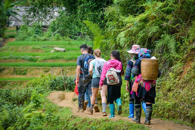 Trekking Through Rice Terraced Fields - 1Day - What the $45 price really covers