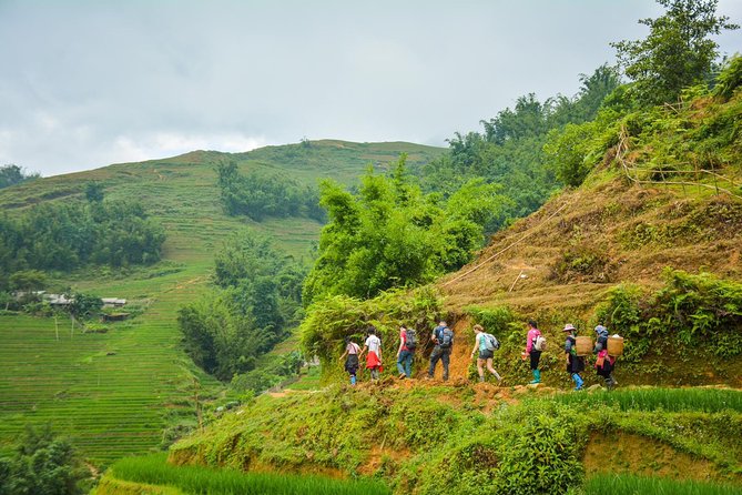 Trekking Through Rice Terraced Fields - 1Day - Lao Chai and the Black Hmong valley