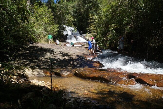 Trekking Tour to Hidden Waterfall & Sturgeon Farm for dog-lovers - Why seven dogs change the Da Lat walk