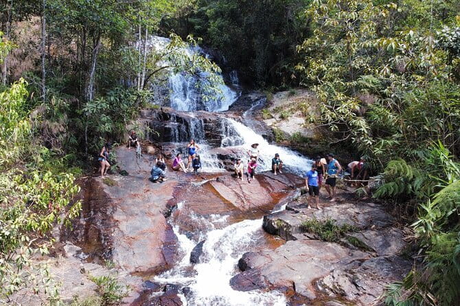 Trekking Tour to Hidden Waterfall & Sturgeon Farm for dog-lovers - The first 30 minutes through the forest