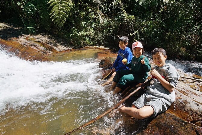 Trekking Tour to Hidden Waterfall & Sturgeon Farm for dog-lovers - Reaching the waterfall on a private route