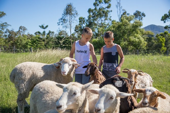 Trevena Glen Farm Animal Experience - Price and value at $17.93 per person