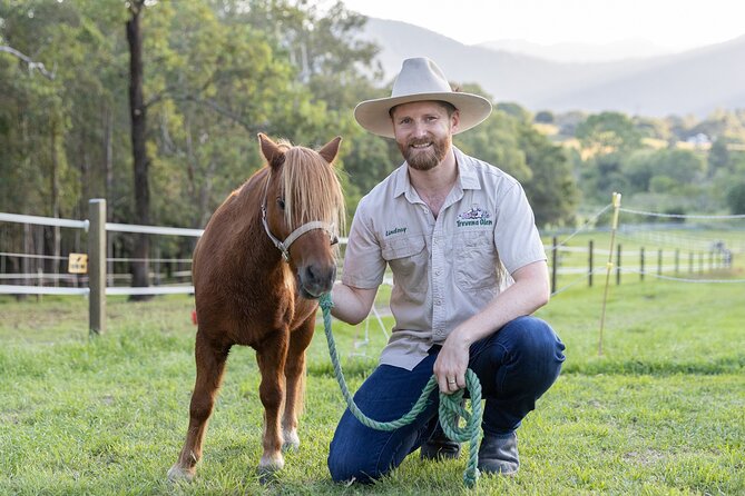 Trevena Glen Farm Animal Experience - Group size, timing, and weather planning