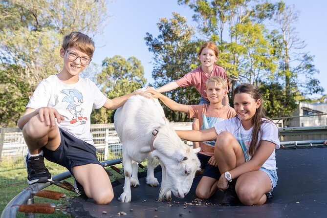 Trevena Glen Farm Animal Experience - Who will enjoy Trevena Glen most