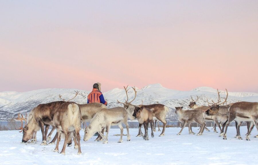 Tromsø: Reindeer Camp and Sami Cultural Tour with Lunch - Sami stories, family life, and the joik