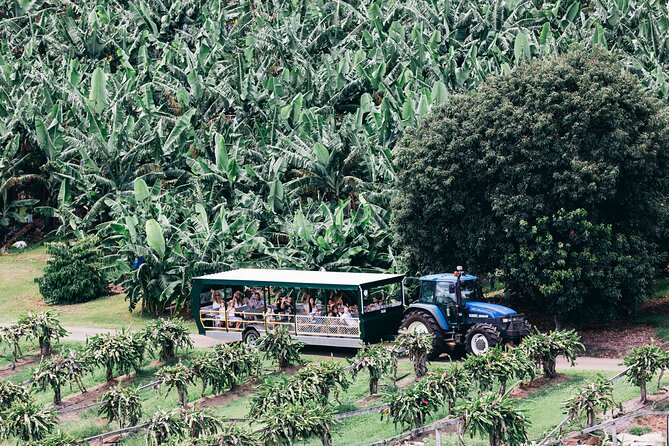 Tropical Fruit World Farm Full Tour - Animals, bush tucker, and the fauna park