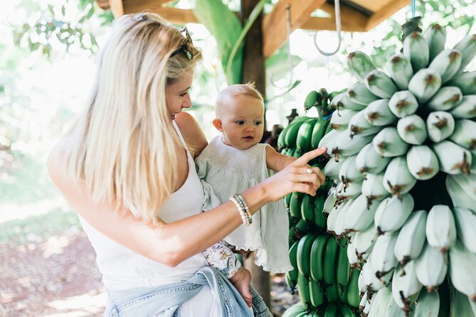 Tropical Fruit World Farm Full Tour - The tractor ride across 200 acres