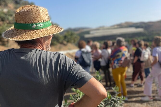 Tropical Tour: Avocado & Mango Farm - Small group and tasting - Why this part of Málaga feels different