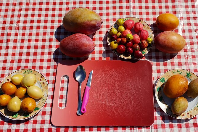 Tropical Tour: Avocado & Mango Farm - Small group and tasting - What makes the Vélez-Málaga stop worthwhile