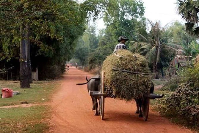 Tuk Tuk Journey: Exploring Rural Life and Silk Farm Craftsmanship - Key points at a glance