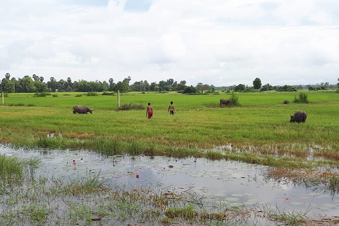 Tuk Tuk Journey: Exploring Rural Life and Silk Farm Craftsmanship - A pagoda visit and Khmer Buddhist life