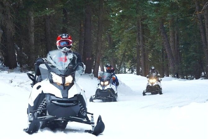 Turpin Meadow Ranch Snowmobiling in Jackson Hole - What the Ski-Doo setup means for you