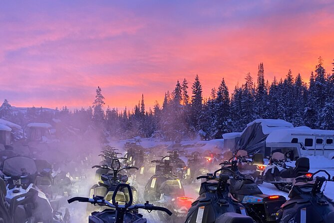 Turpin Meadow Ranch Snowmobiling in Jackson Hole - Is $395 a good value?