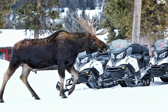 Turpin Meadow Ranch Snowmobiling in Jackson Hole - Following the Continental Divide Trail System