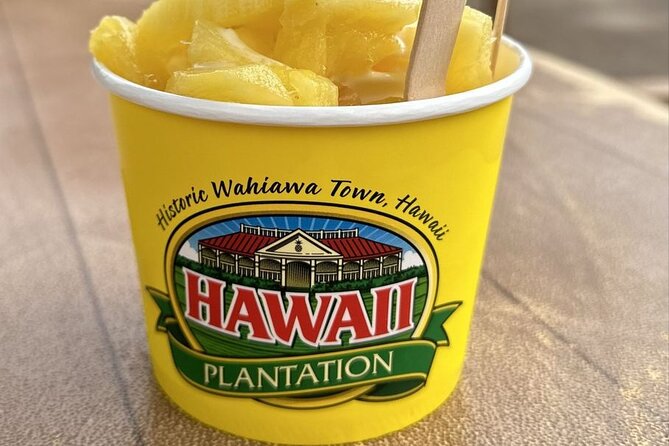 Turtle Snorkeling and Dole Plantation Guided Tour In Oahu - Heading to Turtle Canyon from Kewalo Basin