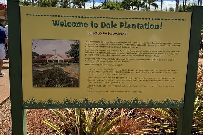 Turtle Snorkeling and Dole Plantation Guided Tour In Oahu - What the three-hour ocean session may feel like