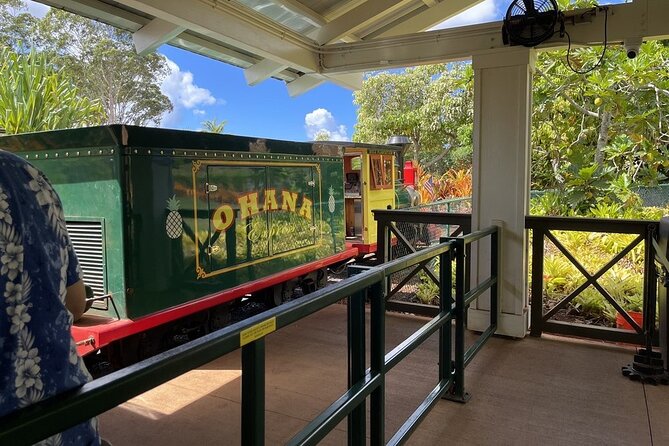 Turtle Snorkeling and Dole Plantation Guided Tour In Oahu - The $199 question: is the package good value?
