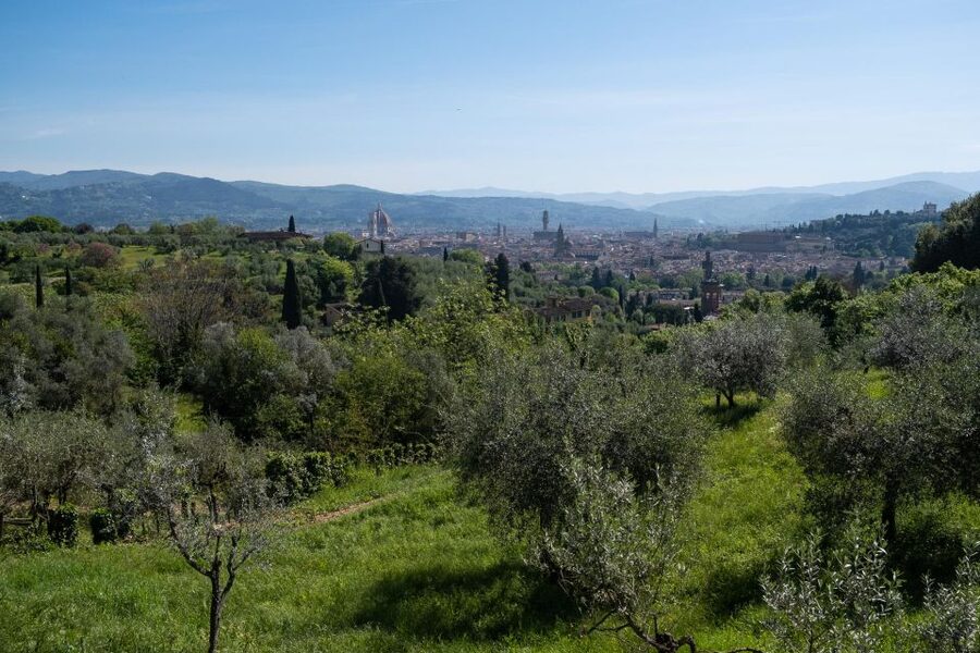Tuscany Hills Bike Tour with Lunch at farm and Wine Tasting - The first climb earns the view over Florence