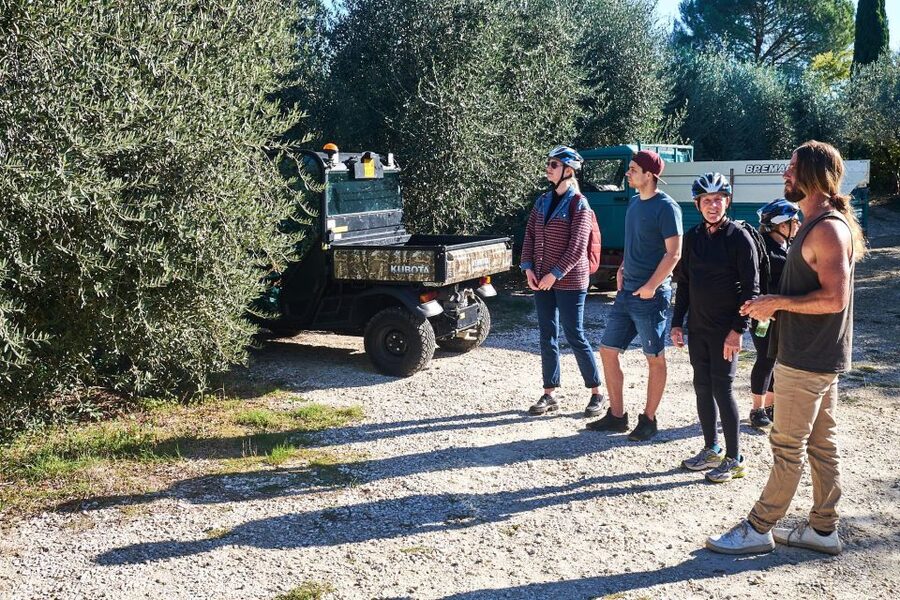 Tuscany Hills Bike Tour with Lunch at farm and Wine Tasting - Is the $73 price good value?