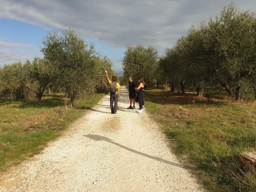Tuscany Hills Bike Tour with Lunch at farm and Wine Tasting - Who should book this Tuscany bike tour?