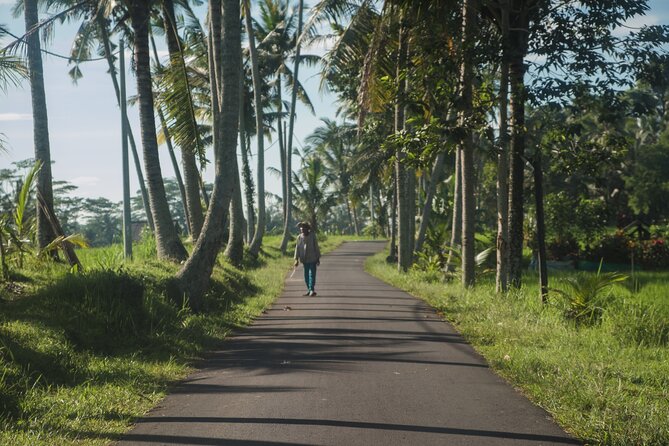 Ubud Art, Monkey Forest and Rice Terrace Tour - The guides can shape the whole experience