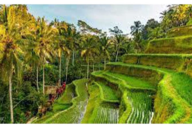 Ubud ATV Quad Bike, Monkey Forest and Rice Terrace - A muddy ATV ride through Bali’s countryside