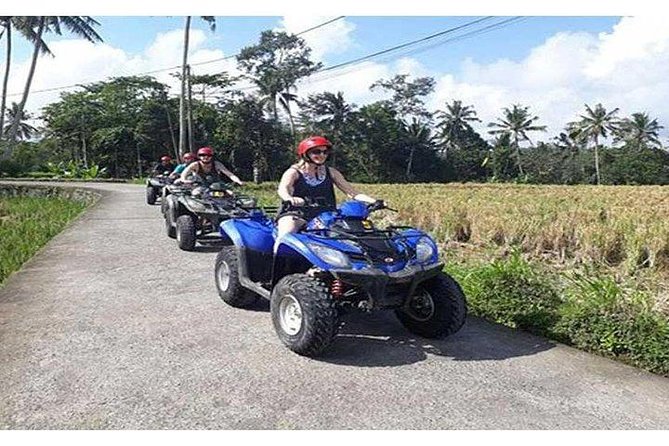 Ubud ATV Quad Bike, Monkey Forest and Rice Terrace - Tegalalang Rice Terrace and the familiar Bali view