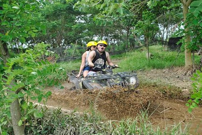 Ubud ATV Quad Bike, Monkey Forest and Rice Terrace - Who will enjoy this experience most?