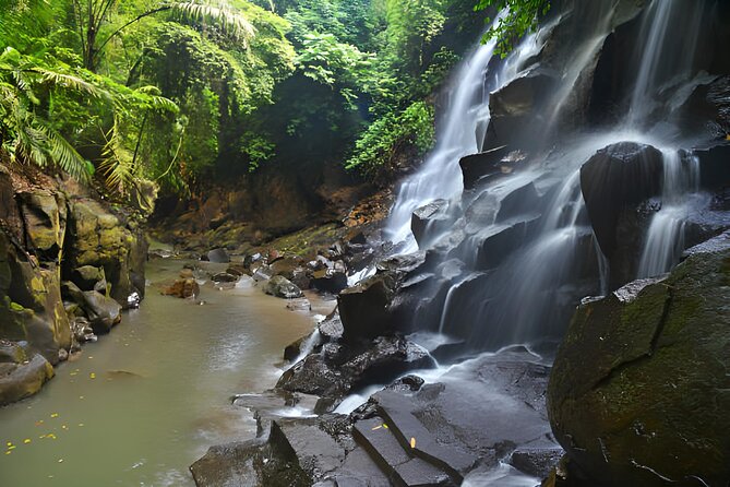 Ubud Bali: Rice Terrace, Waterfall and Tirta empul Day Tour - Why this Ubud day trip works