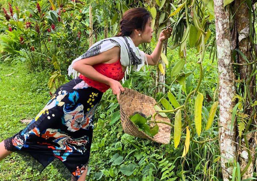Ubud: Balinese Cooking Class at an Organic Farm - Why this farm class feels different from a standard cooking lesson