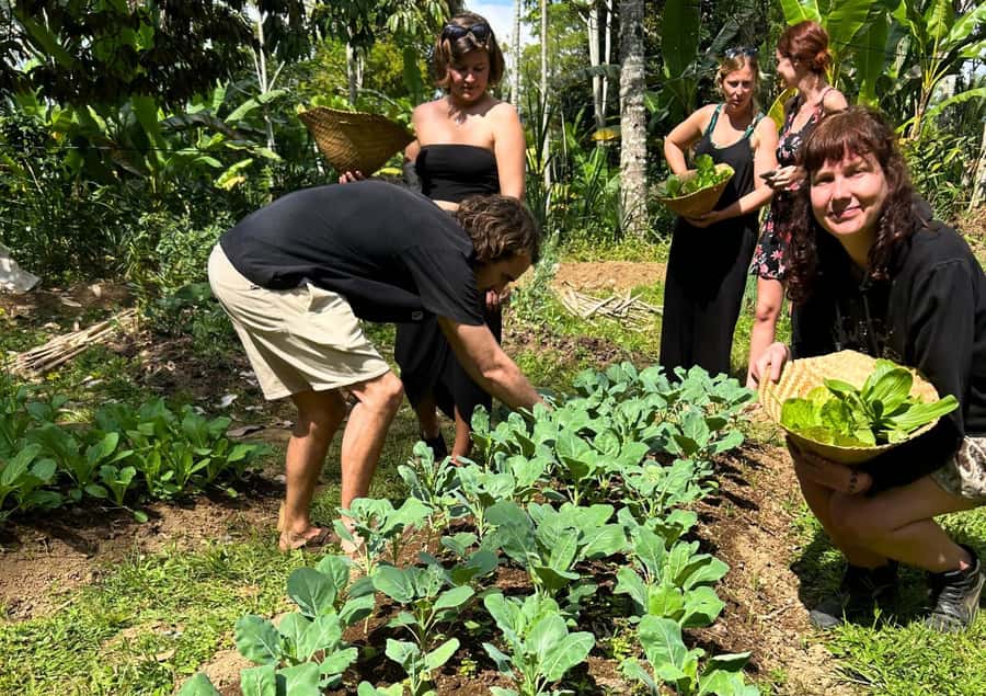 Ubud: Balinese Cooking Class at an Organic Farm - Should you book the Bali Farm Cooking School?