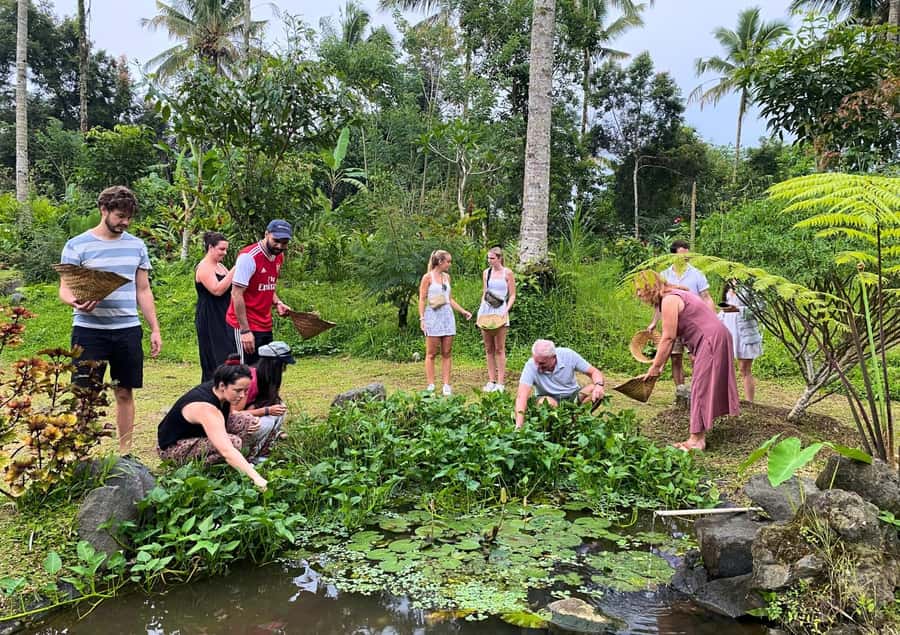 Ubud: Balinese Cooking Class at an Organic Farm - How long to allow, and who should book