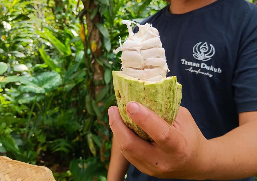 Ubud: Balinese Cooking Class at an Organic Farm - Walking the organic farm before cooking