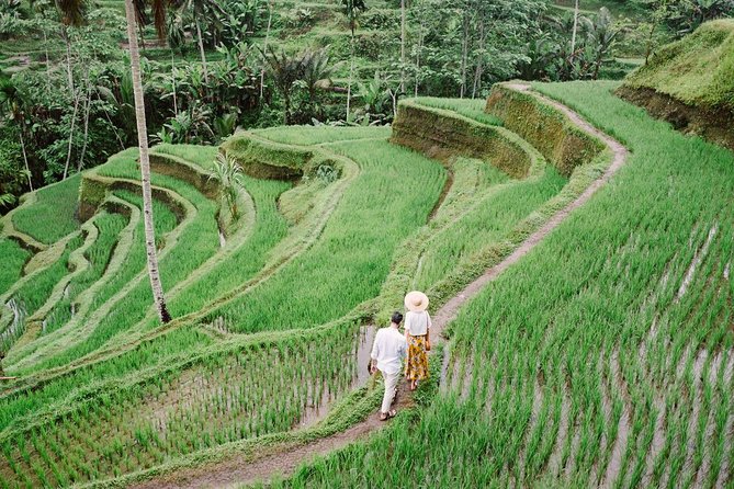 Ubud City Tour II: Monkey Forest, Palace, Art Market, and Rice Terrace - Happy Swing Bali: A 90-Minute Adventure Stop