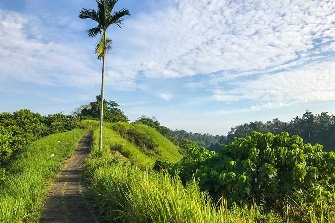 Ubud Countryside Tour: Campuhan Ridge Walk and Rice Terrace - Starting with a Balinese house in Batuan