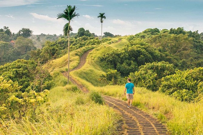 Ubud Countryside Tour: Campuhan Ridge Walk and Rice Terrace - Seeing the Tegalalang rice terraces