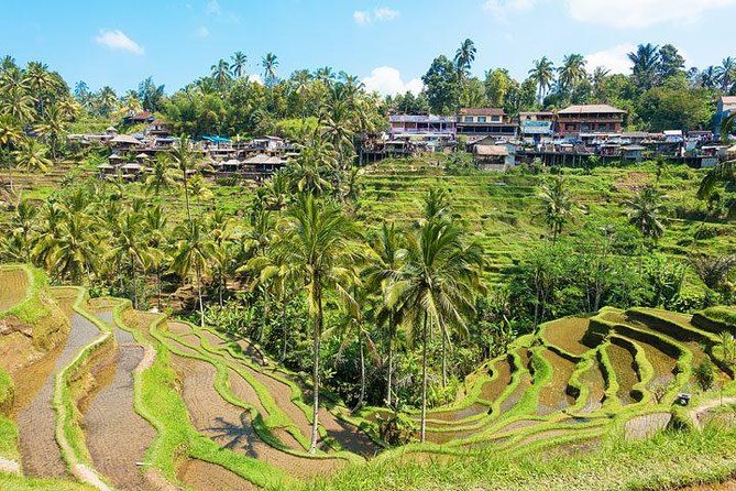 Ubud Countryside Tour: Campuhan Ridge Walk and Rice Terrace - Reaching Tegenungan Waterfall