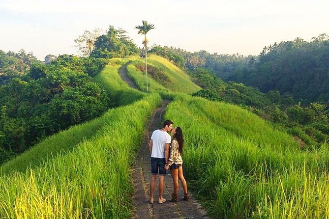 Ubud Countryside Tour: Campuhan Ridge Walk and Rice Terrace - The coffee plantation and Balinese coffee sample