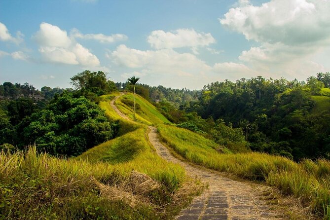 Ubud Countryside Tour: Campuhan Ridge Walk and Rice Terrace - Walking the Campuhan Ridge for fresh air