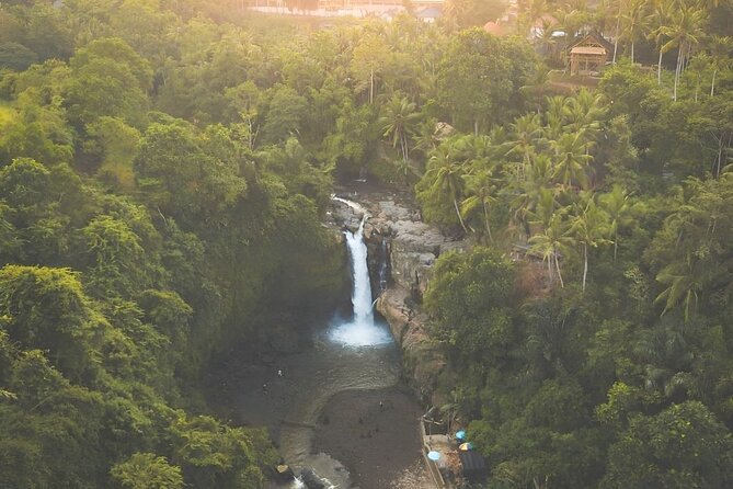 Ubud Day Tour: Sacred Monkey Forest, Tegenungan Waterfall, Rice Terrace - A full Ubud day from Kuta