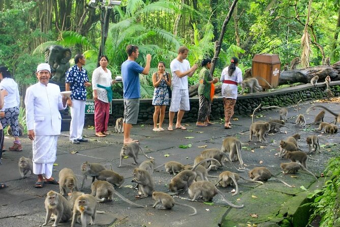 Ubud Day Tour: Sacred Monkey Forest, Tegenungan Waterfall, Rice Terrace - Elephant Cave and Bali’s carved stone