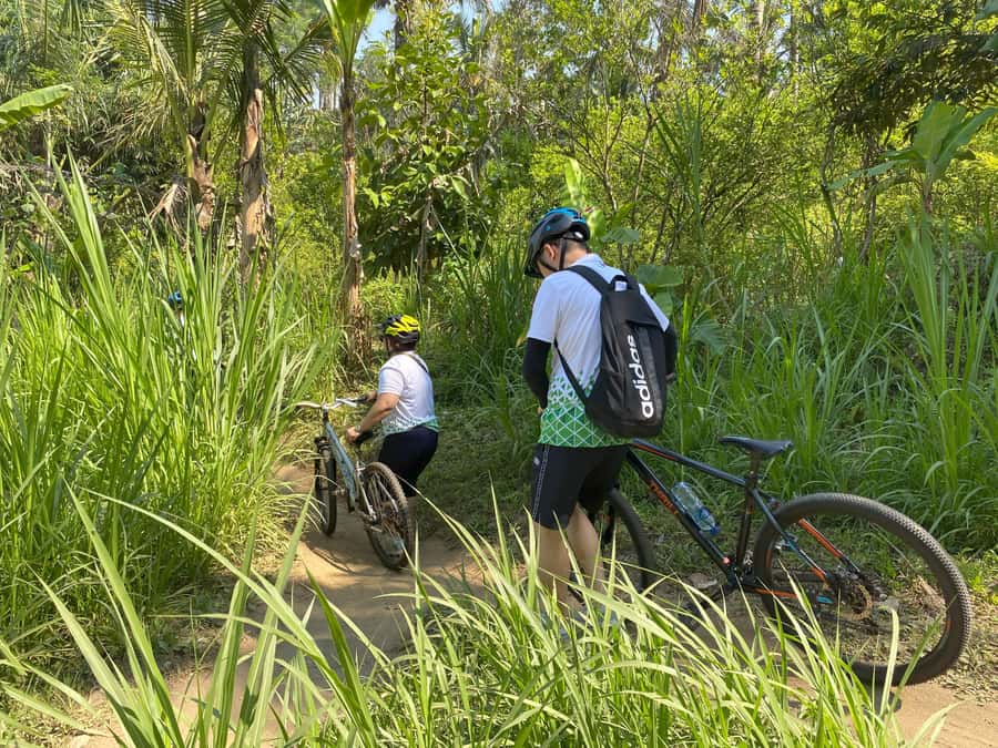 Ubud: Downhill Bike Tour with Rice Fields, Volcano and Meal - Guides, drivers, and the private-tour advantage