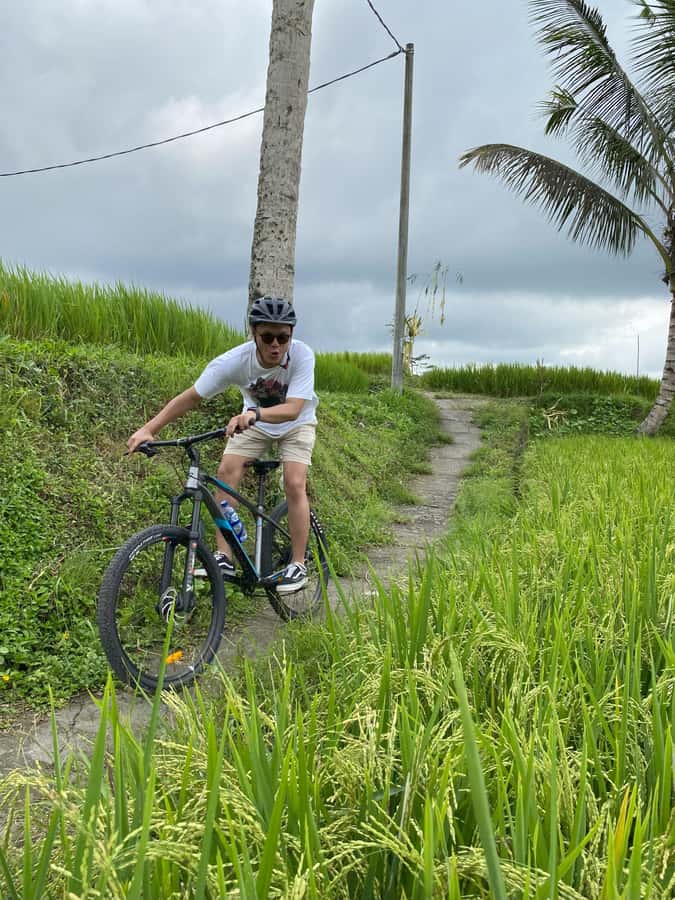 Ubud: Downhill Bike Tour with Rice Fields, Volcano and Meal - A downhill ride that still needs control