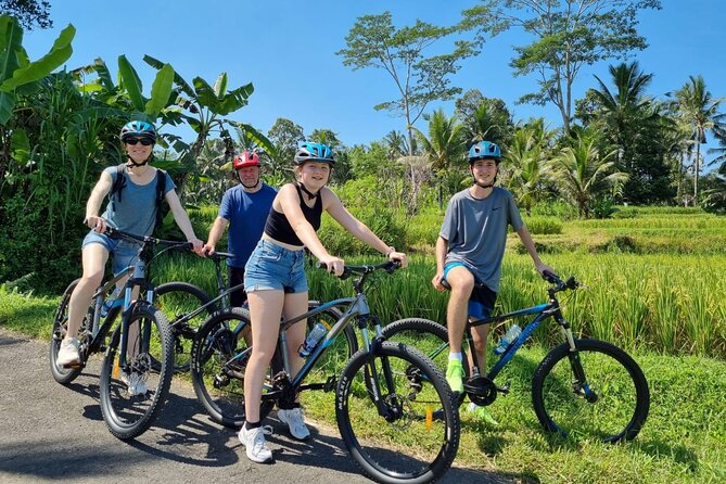 Ubud: Downhill Cycling with Volcano, Rice Terraces, and Meal - From Ubud to the slopes of South Batur