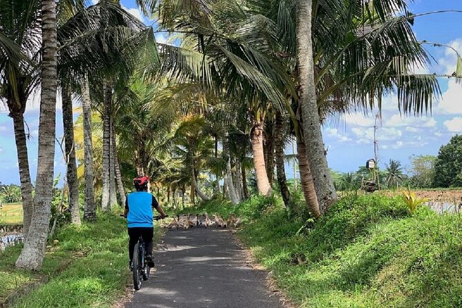 Ubud: Downhill Cycling with Volcano, Rice Terraces, and Meal - Who will enjoy it most
