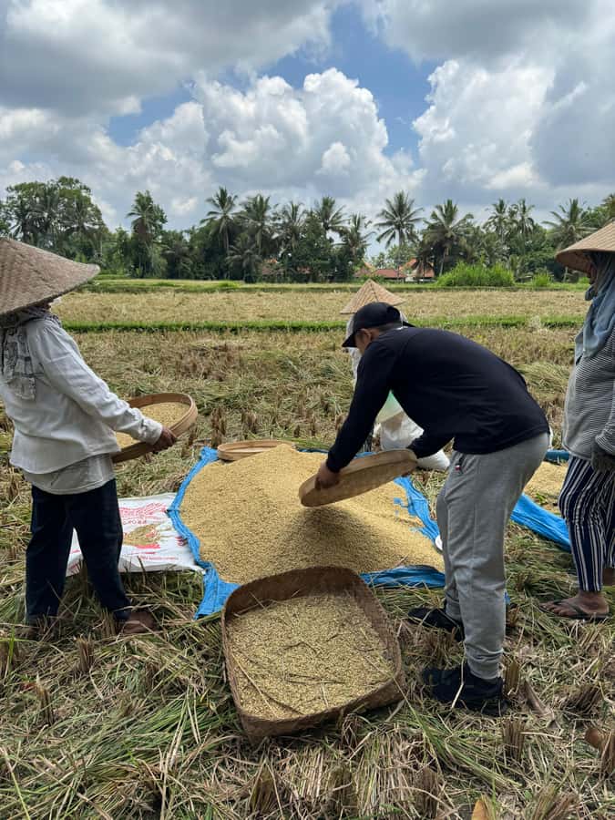 Ubud: Downhill Cycling with Volcano, Rice Terraces, and Meal - Small practical details that make a difference